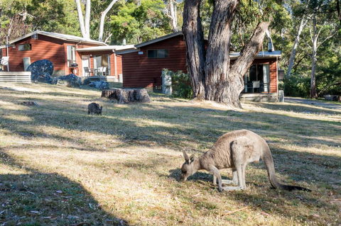 Wonderland Cottages - Tourism Gold Coast 1