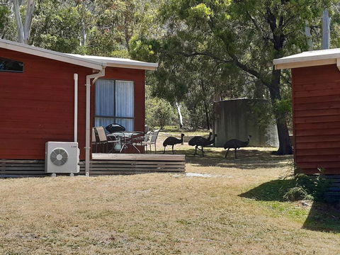 Wonderland Cottages - Tourism Gold Coast 3
