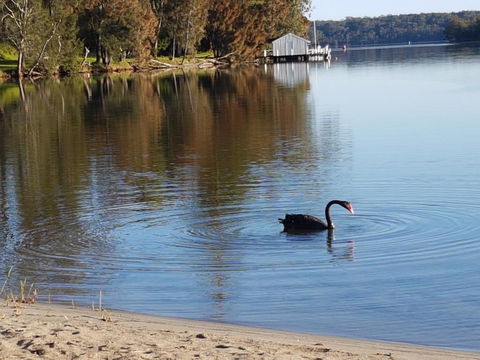 Wyreepi River Cottage - Tourism Gold Coast 3