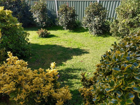 Young Goldrush Motel - Tourism Gold Coast 3