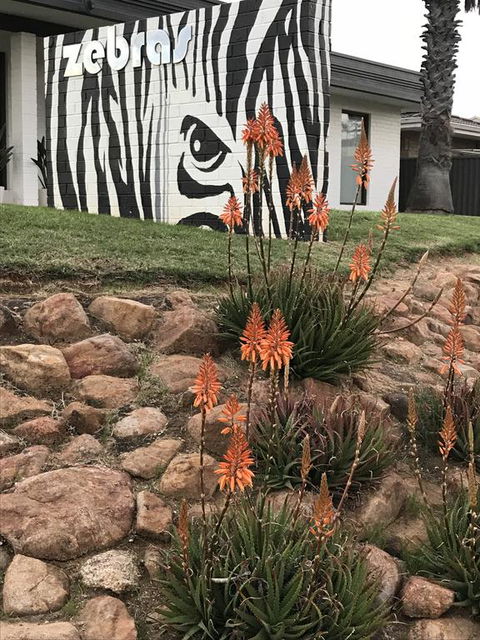 Zebras Guest House Geraldton - Tourism Gold Coast 1