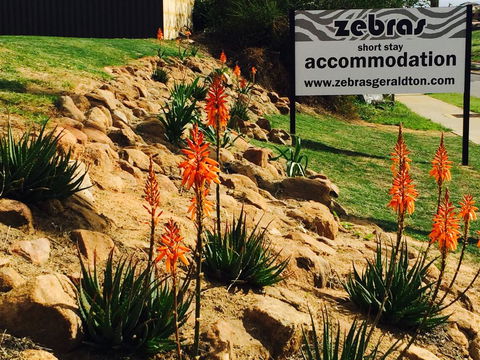 Zebras Guest House Geraldton - Tourism Gold Coast 2