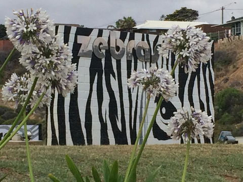 Zebras Guest House Geraldton - Tourism Gold Coast 0