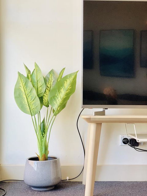ZEN Homes On Collins - Tourism Gold Coast 3
