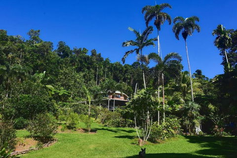 A Daintree Garden - Tourism Gold Coast 0