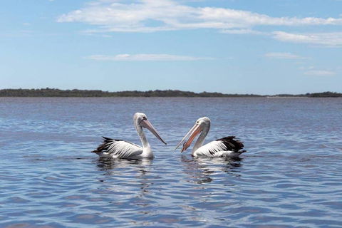 Amazing Ansons Bay Remote Paradise For The Family In The Bay Of Fires Area - Tourism Gold Coast 2