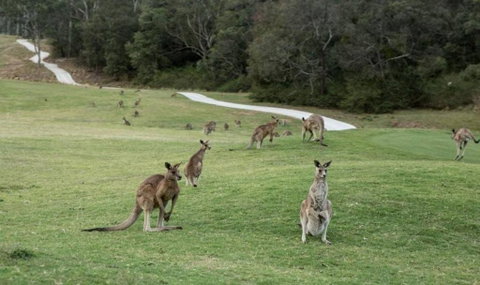 Anglesea River Apartment 23 - Tourism Gold Coast 4