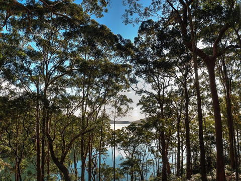 Aqua Vista - Tourism Gold Coast 4