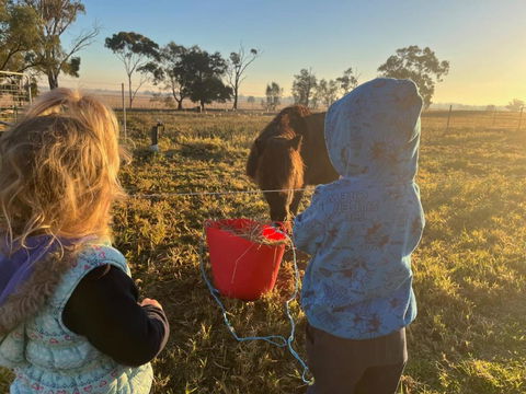 Avondale Heights By Tiny Away - Tourism Gold Coast 4