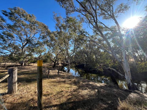 Avondale Heights By Tiny Away - Tourism Gold Coast 0