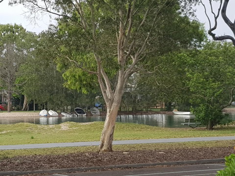 Excellsior Apartments - Tourism Gold Coast 2