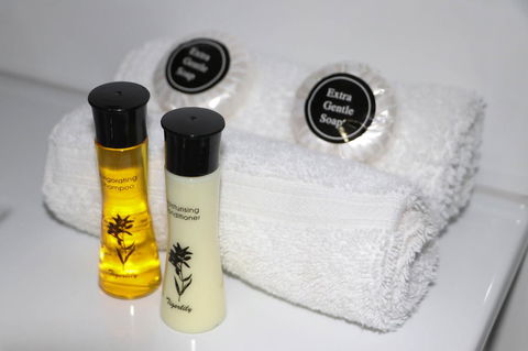 Emerald Park Motel - Tourism Gold Coast 4