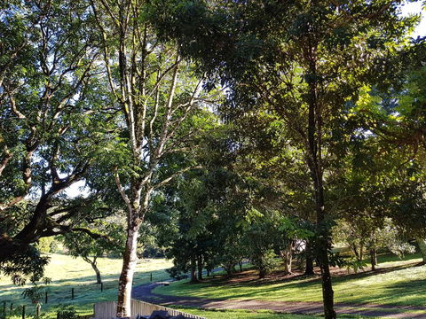Bee-Haven Cottage - Tourism Gold Coast 7