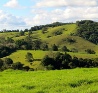 Maleny Springs Farm - Tourism Gold Coast