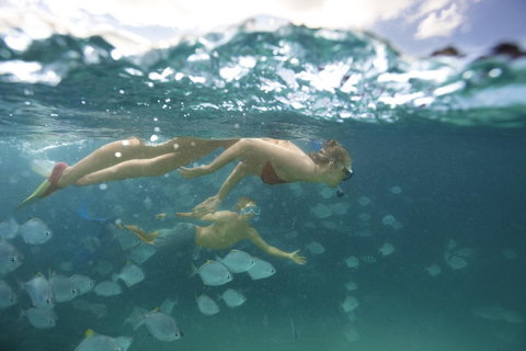 Tangalooma Island Resort - Gold Coast 4