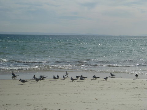 Beachfront Holiday Apartment To Rent For Short And Long Stays - Gold Coast 30