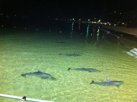 Beachfront Holiday Apartment To Rent For Short And Long Stays - Gold Coast 29