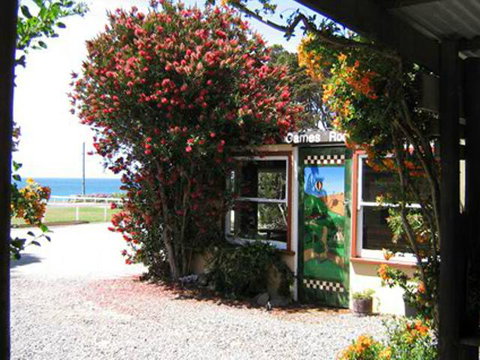 King Island Accommodation Cottages - Tourism Gold Coast 11