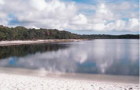 King Island Accommodation Cottages - Tourism Gold Coast 17