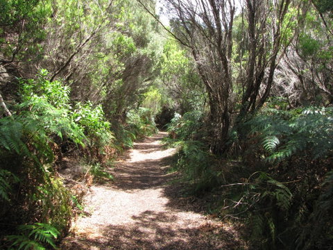 King Island Accommodation Cottages - Tourism Gold Coast 12