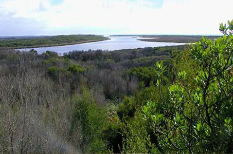 King Island Accommodation Cottages - Tourism Gold Coast 20
