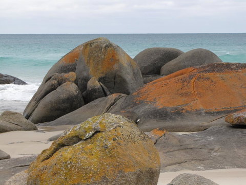 King Island Accommodation Cottages - Tourism Gold Coast 40