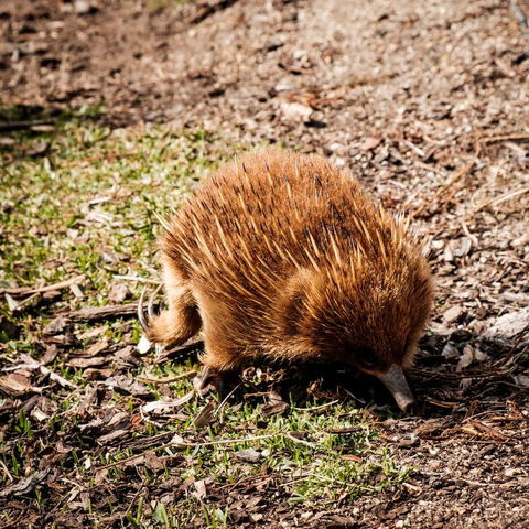 Palana Beach House - Tourism Gold Coast 12