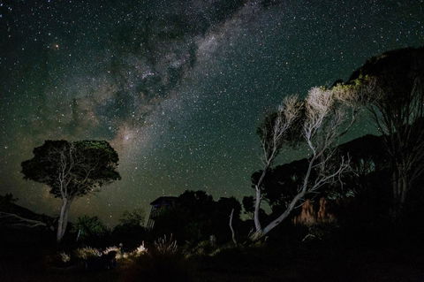 Palana Beach House - Tourism Gold Coast 13