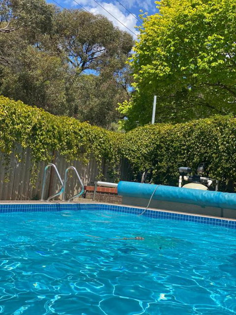 Creek Front House - Tourism Gold Coast 1