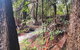 Crystal Cottage Retreat- Escape To The Hinterland! - thumb 3