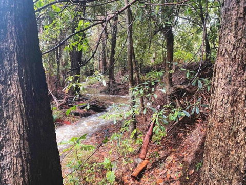 Crystal Cottage Retreat- Escape To The Hinterland! - Tourism Gold Coast 3