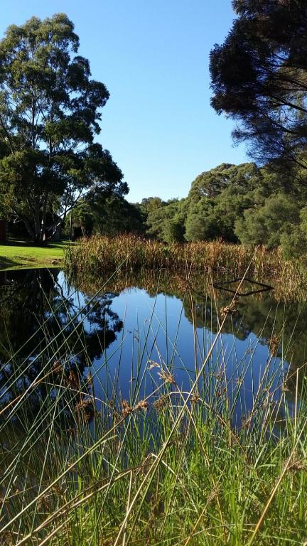 Crystal Springs Holiday Accommodation - Tourism Gold Coast 0