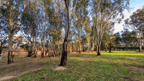 Deniliquin Riverside Caravan Park - Tourism Gold Coast 3