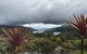 Derwent Mist Villas (Acacia Villa) - thumb 2