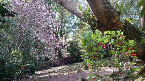 305 Montville - The Artist's Cottage - Tourism Gold Coast 3