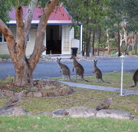 31 The Rocks - Tourism Gold Coast