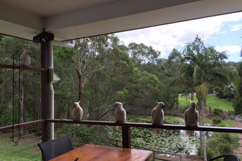 449 with Tourism Gold Coast