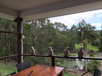 Book Upper Coomera Accommodation Vacations Tourism Gold Coast Tourism Gold Coast