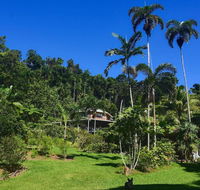 A Daintree Garden - Tourism Gold Coast