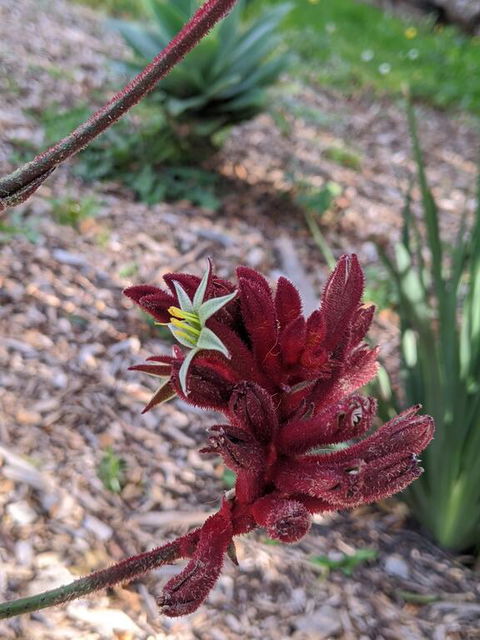 A Home Away From Home - Tourism Gold Coast 1