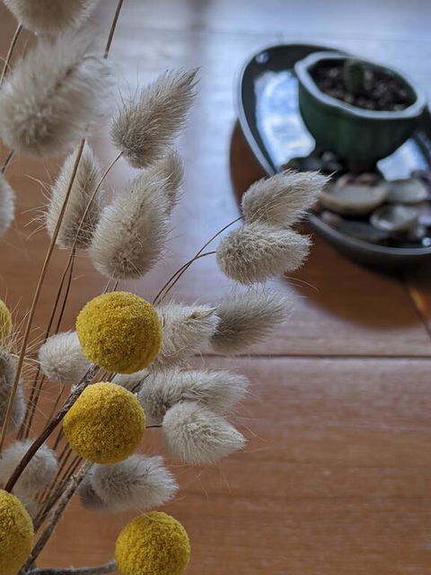 A Home Away From Home - Tourism Gold Coast 2