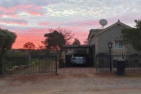 A Real Bush Retreat. Kangas, Emus & Starry Skies. - Tourism Gold Coast 1