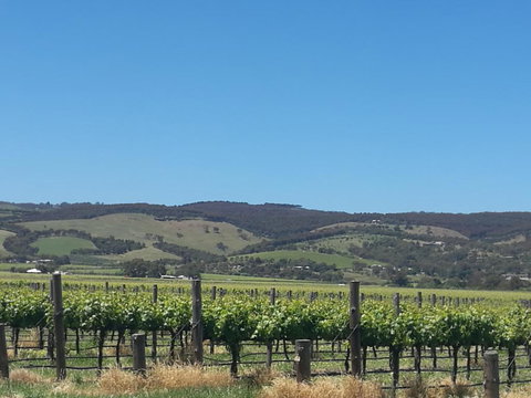 A Victor Harbour Retreat Aldinga Tony's Music Cottage - Gold Coast 3