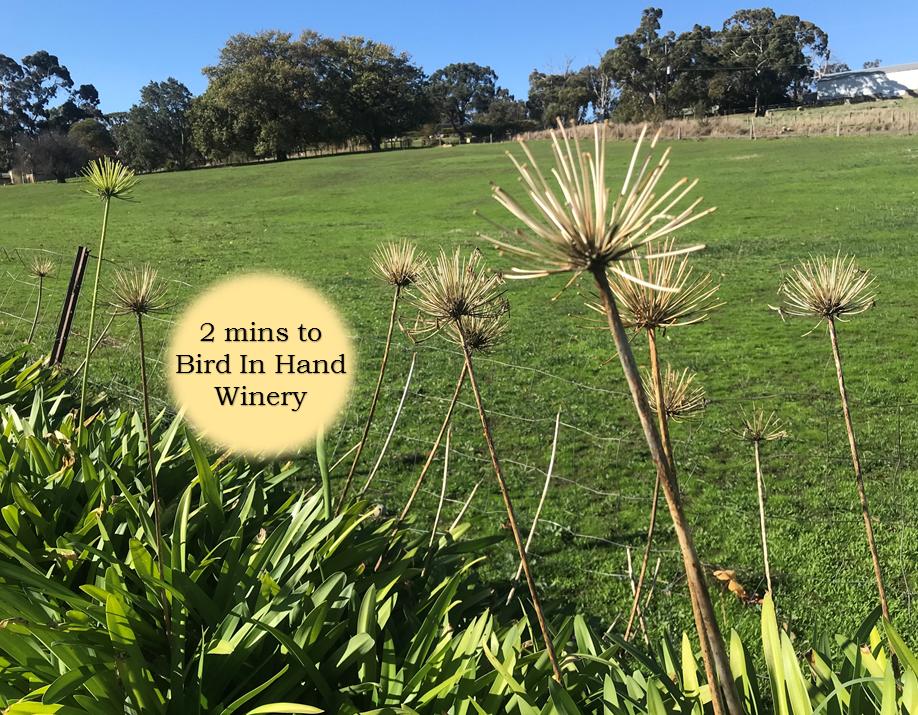 Inverbrackie SA Tourism Gold Coast