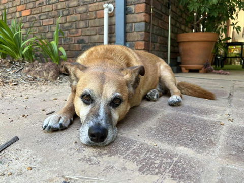 Diamond Lake Escape - Gold Coast 1