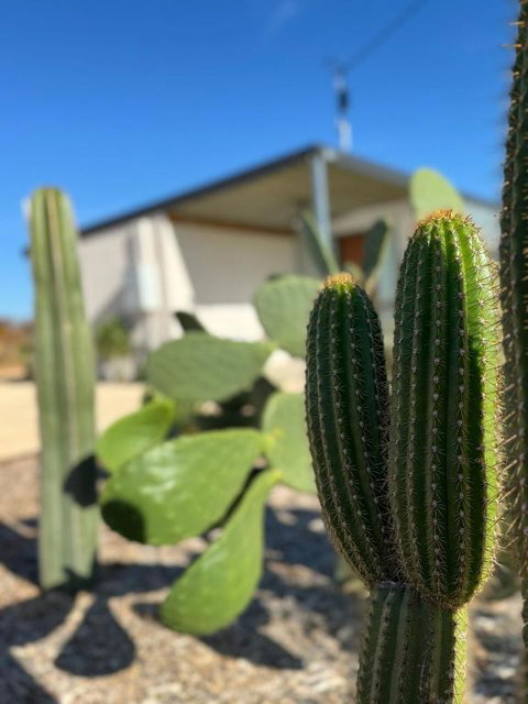 Dreamy Staiz - Riverland Abode - Tourism Gold Coast 2