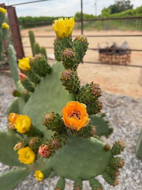 Dreamy Staiz - Riverland Abode - Tourism Gold Coast 4