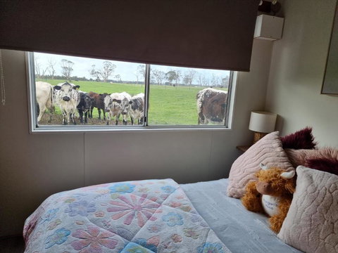 Farmstay@Morgans - Gold Coast 3