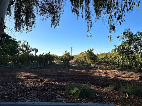 House By The Vines - Tourism Gold Coast 0