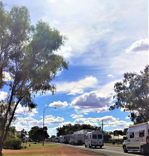 Ironbark Inn - Tourism Gold Coast 3